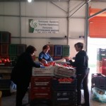 Συσκευασία τομάτας