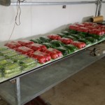 Συσκευασμένα προϊόντα