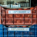 Τομάτες έτοιμες για συσκευασία