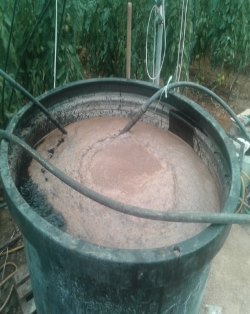 Κομποστοποίηση