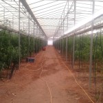 Ο βιολογικός κήπος μας