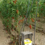 Ο βιολογικός κήπος μας