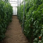 Ο βιολογικός κήπος μας